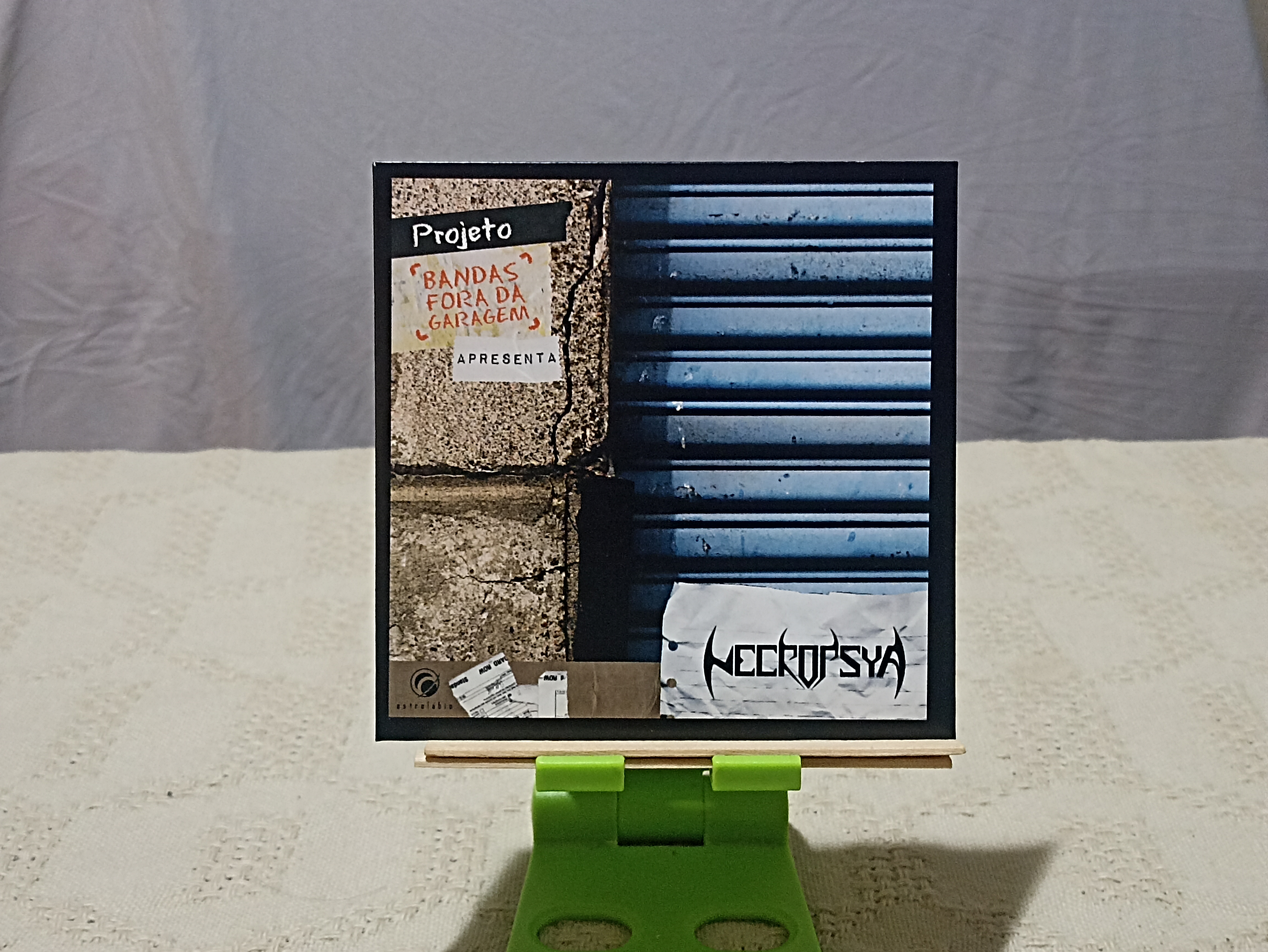 Necropsy